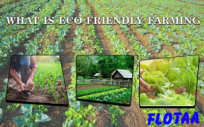 What Is Eco Friendly Farming?