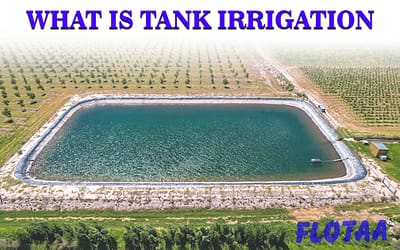What Is Tank Irrigation