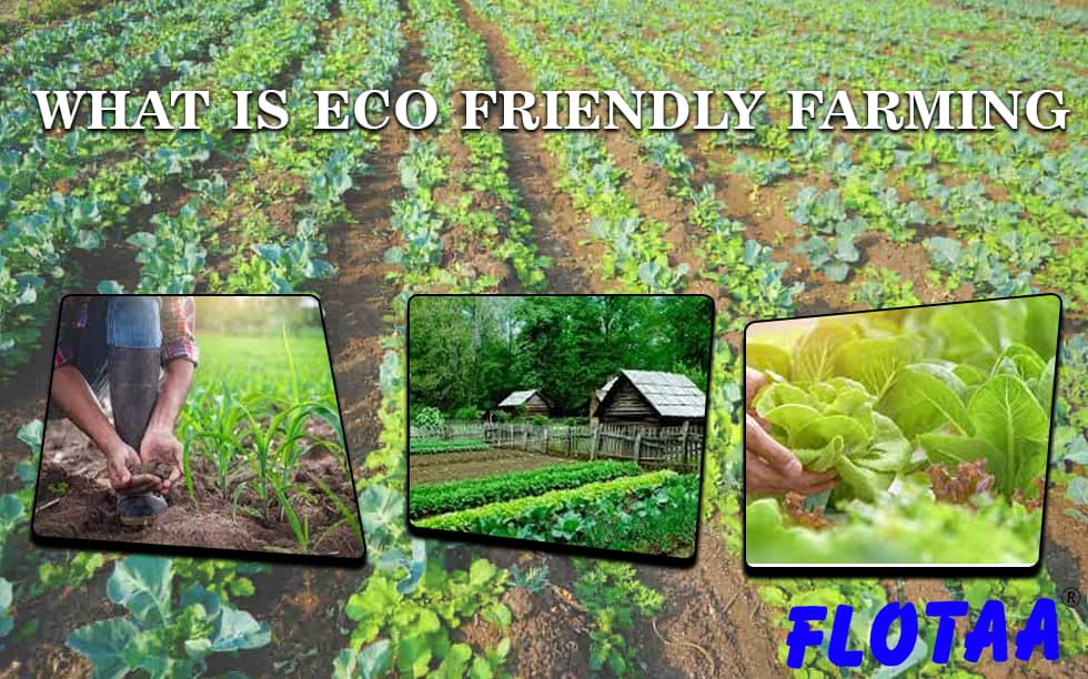 What Is Eco Friendly Farming